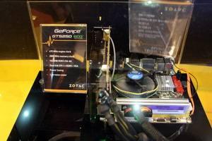 Поездка на Computex-2010, часть 2: Maokong и зоопарк, Computex, фото 30
