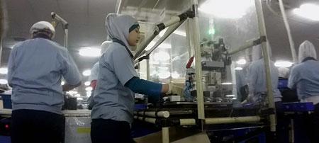 Производство Epson в Индонезии:, фото 25