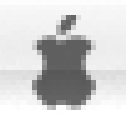 Переход Apple на Intel, фото 2