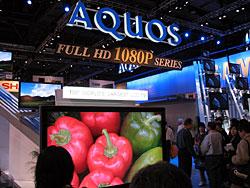 CES 2007, Лас-Вегас и Большой Каньон, фото 22