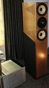 CES 2011: Бегом по кругу., фото 19
