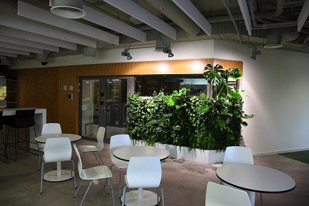 Экскурсия по новому офису NVIDIA в Москве:, фото 21