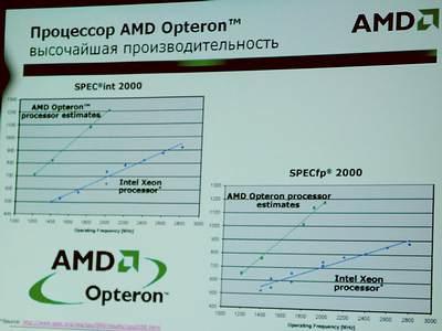 Chaintech, NVIDIA, AMD, фото 30