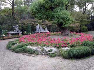 SESC, фото 45