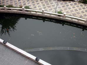 SESC, фото 5