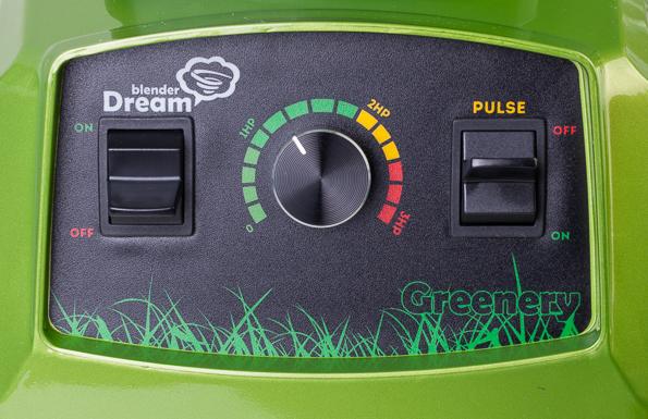 Профессиональный блендер Rawmid Dream Greenery BDG-07