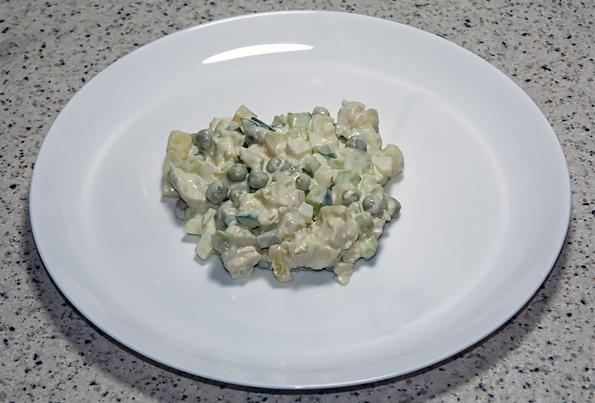 Вакуумный упаковщик Rawmid VDP-02