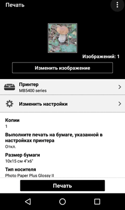 МФУ Canon Maxify MB5440:, фото 127