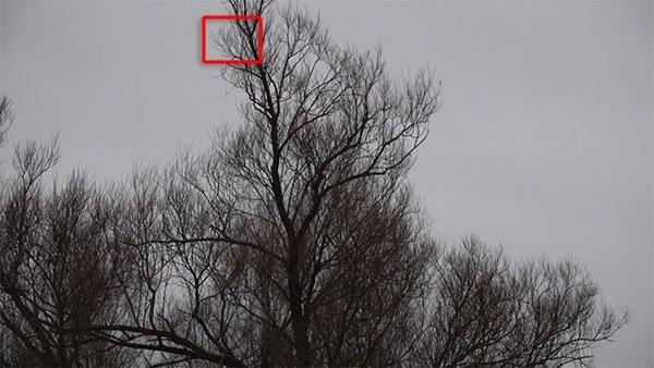 4K-видеокамера Sony FDR-AX700:, фото 78