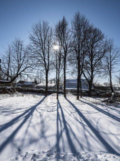 Беззеркальная камера Fujifilm GFX 50S среднего формата:, фото 172