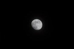 Объектив Canon EF 400mm f/4 DO IS II USM:, фото 61