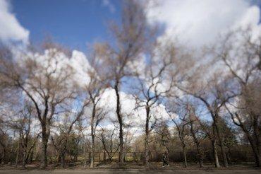 Широкоугольный тилт-шифт-объектив Canon TS-E 17mm f/4L:, фото 32