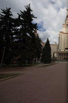 Широкоугольный тилт-шифт-объектив Canon TS-E 17mm f/4L:, фото 24