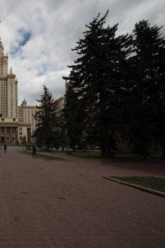 Широкоугольный тилт-шифт-объектив Canon TS-E 17mm f/4L:, фото 26