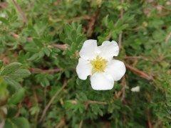Смартфон Huawei P20 Lite:, фото 47