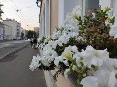 Смартфон Oppo Find X:, фото 46