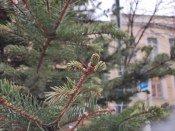 Oppo RX17 Pro:, фото 54