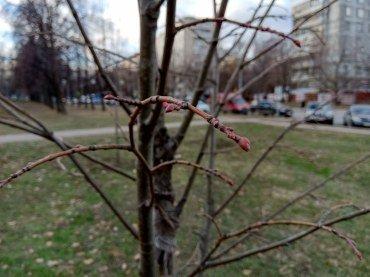 Смартфон Nokia 5.1 Plus из программы Android One:, фото 42