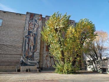 Флагманский смартфон Huawei Mate 20 Pro:, фото 57