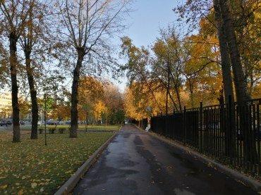 Смартфон Honor 8X:, фото 39