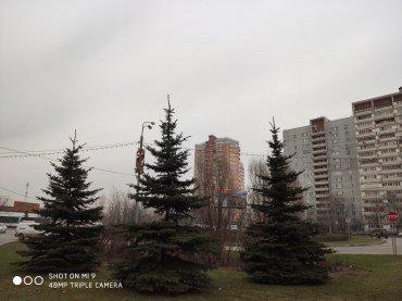 Флагманский смартфон Xiaomi Mi 9:, фото 94