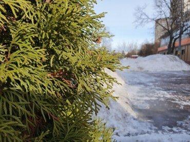 Флагманский смартфон Samsung Galaxy S10+:, фото 68