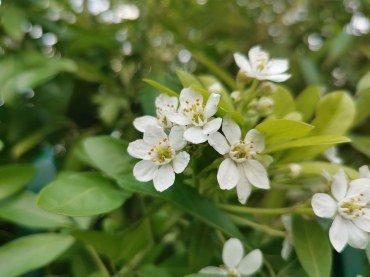 Флагманский смартфон Huawei P30 Pro, фото 80