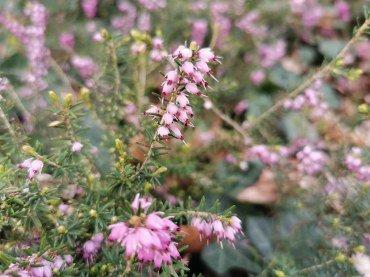 Флагманский смартфон Huawei P30 Pro, фото 81