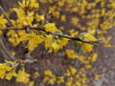 Флагманский смартфон Huawei P30 Pro, фото 82