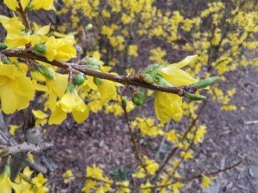 Флагманский смартфон Huawei P30 Pro, фото 105