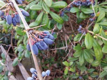 Флагманский смартфон Huawei P30 Pro, фото 106