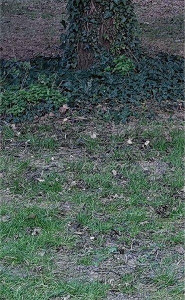 Флагманский смартфон Huawei P30 Pro, фото 108