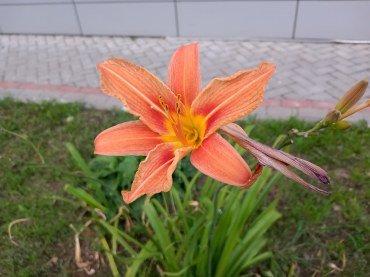 Смартфон realme 3:, фото 60