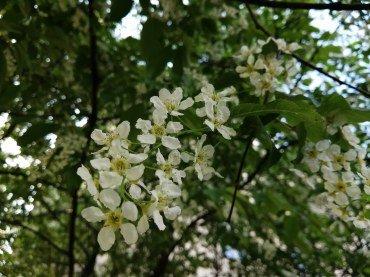 Смартфон Huawei P30 Lite:, фото 50