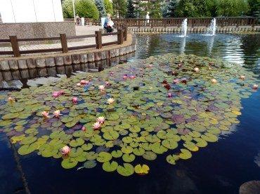 Смартфон Alcatel 1S:, фото 37