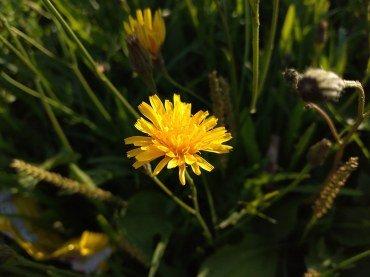 Смартфон Honor 8C:, фото 38