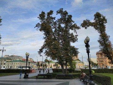Смартфон Honor 8C:, фото 47