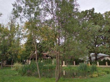 Смартфон Honor 8C:, фото 53