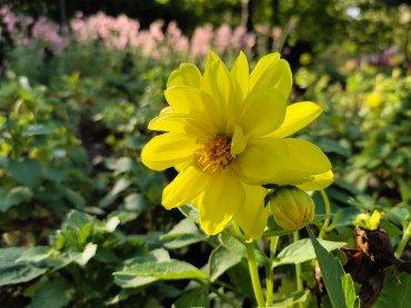 Смартфон ZTE Axon 10 Pro:, фото 44