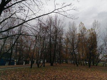 Смартфон Honor 9X Premium (STK-LX1):, фото 47