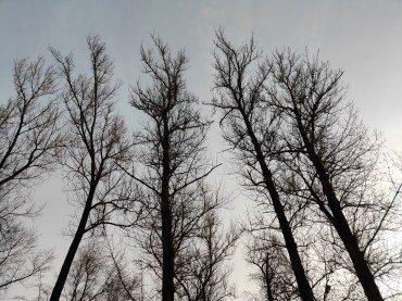 Смартфон OnePlus 7 Pro:, фото 49