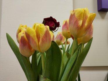 Смартфон Oppo Find X2:, фото 57
