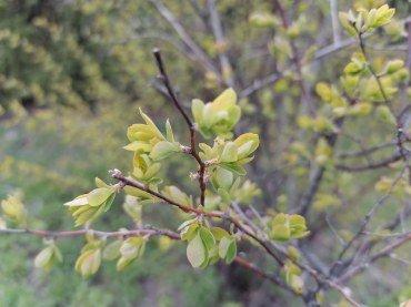 Смартфон Honor 9C:, фото 57