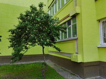 Смартфон Honor 30S:, фото 63