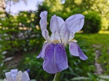 Смартфон Honor 30S:, фото 49