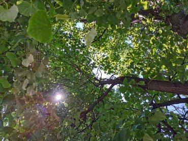 Смартфон Honor 30S:, фото 74