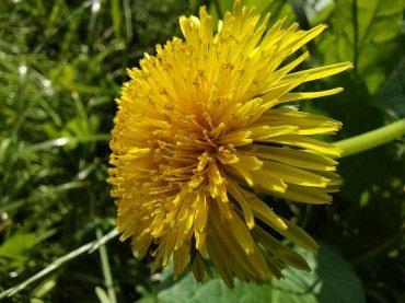 Смартфон Honor 30:, фото 98