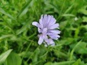 Смартфон Honor 30:, фото 50