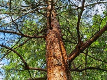 Смартфон Huawei P40 Pro+:, фото 42