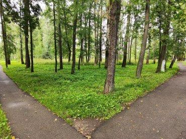 Смартфон Huawei P40 Pro+:, фото 45